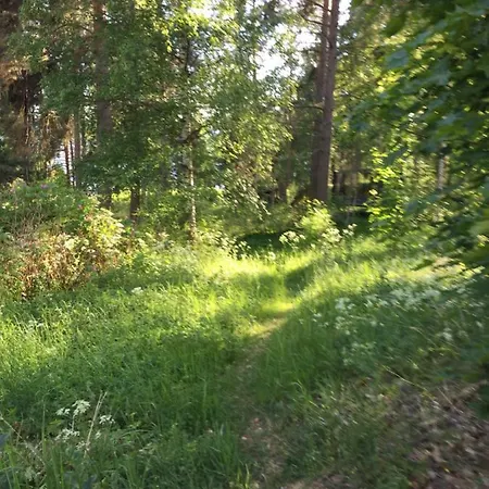 Apartament Annetika 55 м2 *