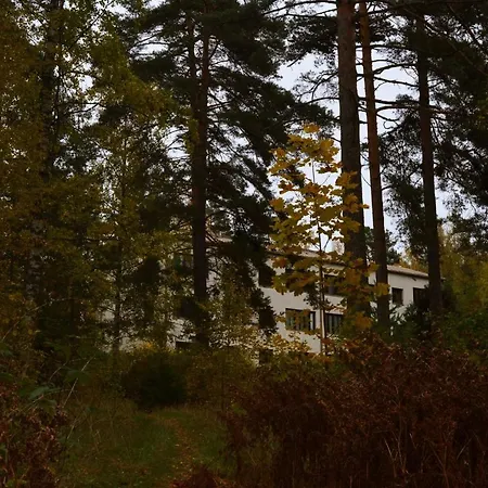 Annetika 55 м2 *