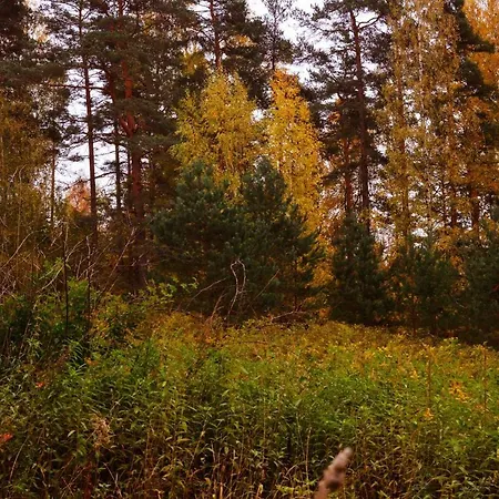 Apartment Annetika 55 м2