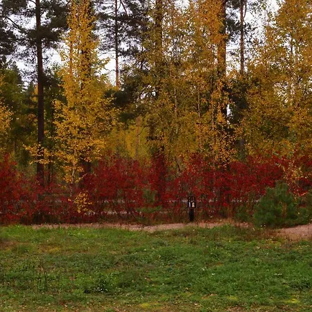 Annetika 55 м2 Imatra