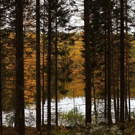 Apartment Annetika 55 м2 Imatra
